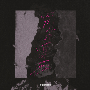 巧露影视免费观
