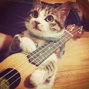 巧露影视免费观
